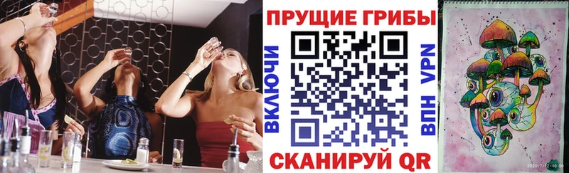 Купить где  Томилино  Галлюциногенные грибы мицелий 